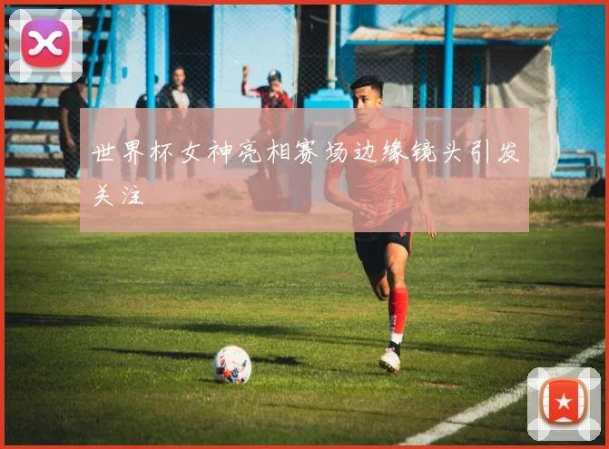 世界杯女神亮相赛场边缘镜头引发关注