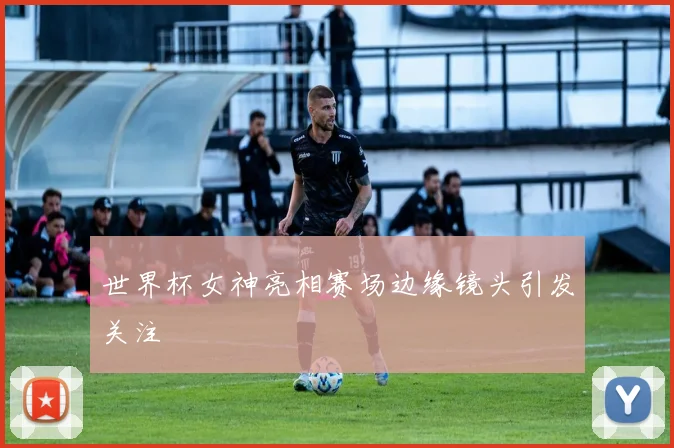 世界杯女神亮相赛场边缘镜头引发关注