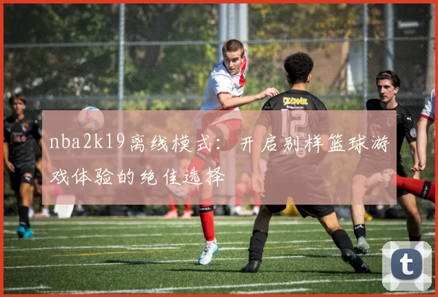 nba2k19离线模式：开启别样篮球游戏体验的绝佳选择