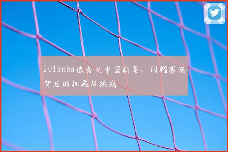 2018nba选秀之中国新星，闪耀赛场背后的机遇与挑战