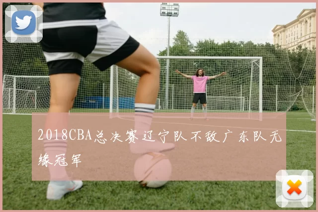 2018CBA总决赛辽宁队不敌广东队无缘冠军